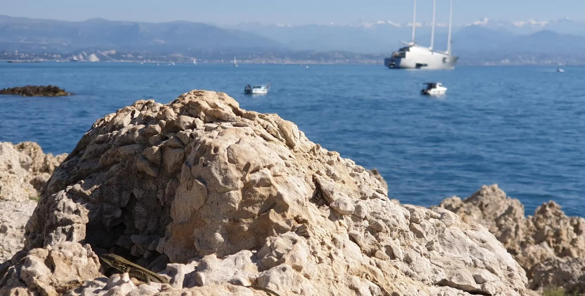 Bastide Les Cigales Villa Antibes