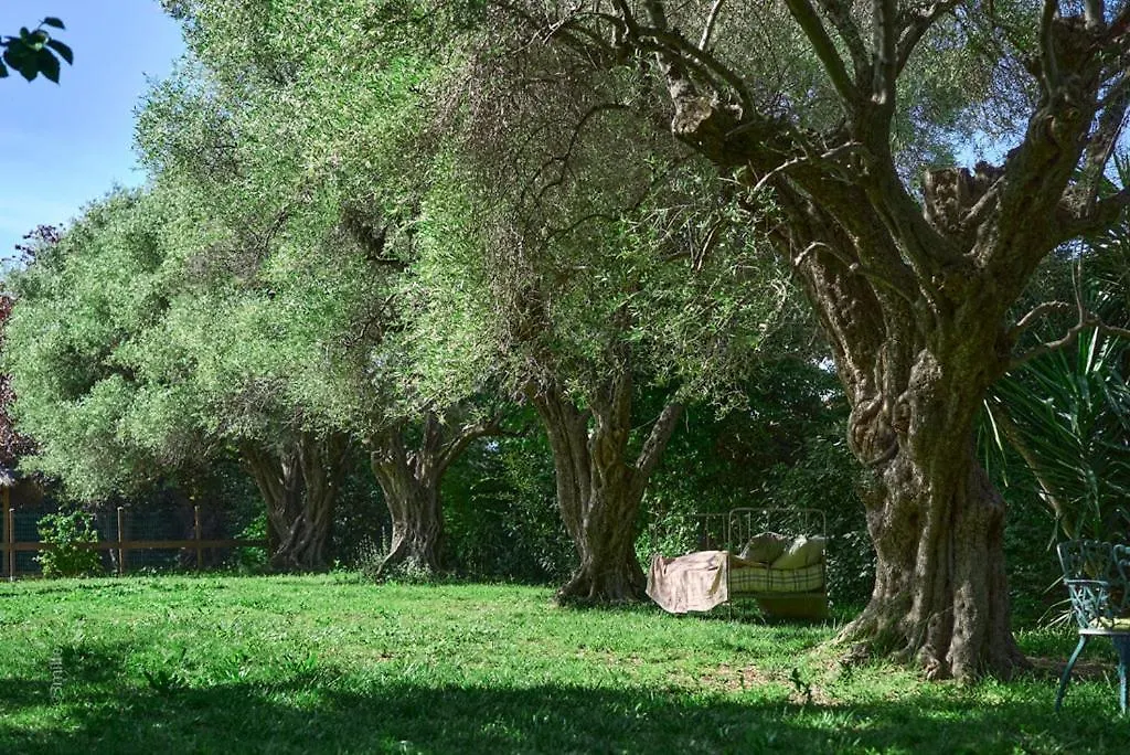 앙티브 Bastide Les Cigales 빌라